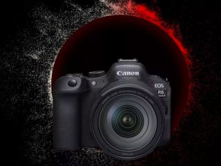 Czy Canon R6 to dobry wybór dla początkujących? Test aparatu 