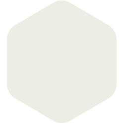 bondex