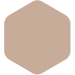 bondex