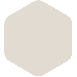 bondex