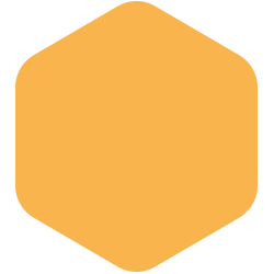 bondex