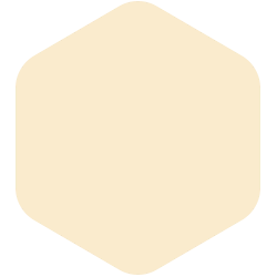 bondex