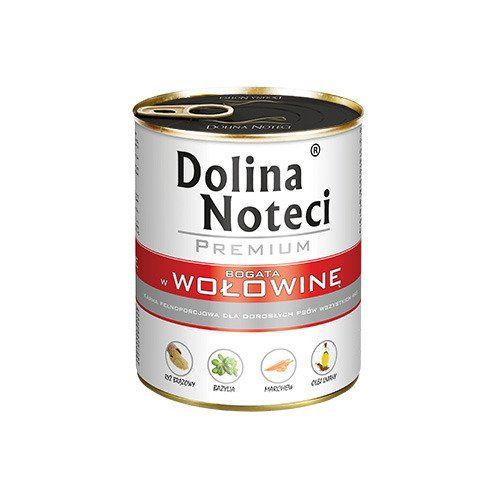 dolina noteci premium junior