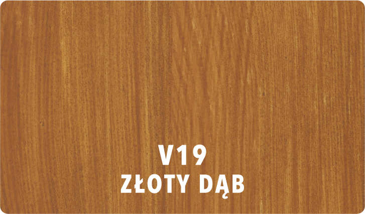 V19 złoty dąb
