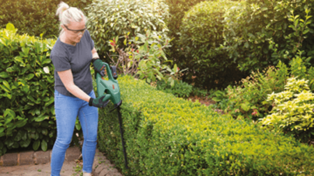Bosch EasyHedgeCut 18-45 - 3