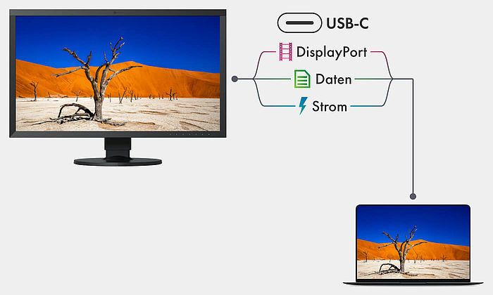 EIZO ColorEdge zaawansowana łącznośc USB-C