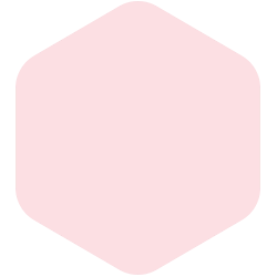bondex