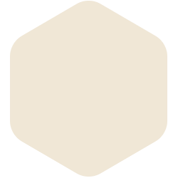 bondex