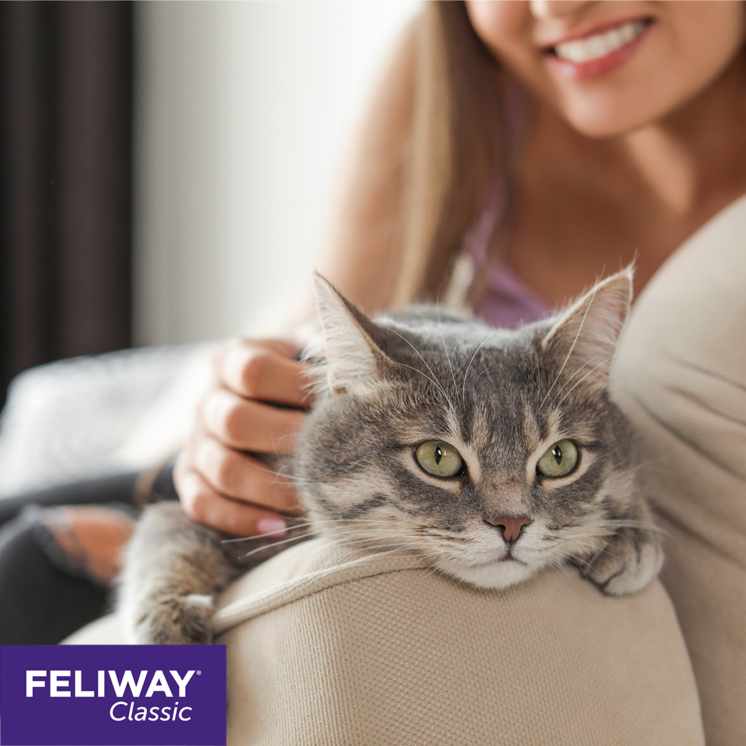 FELIWAY Classic diffuseur FELIWAY Classic diffuseur - Petshopping