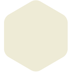 bondex