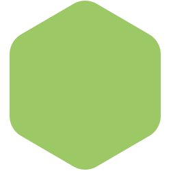 bondex