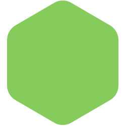 bondex