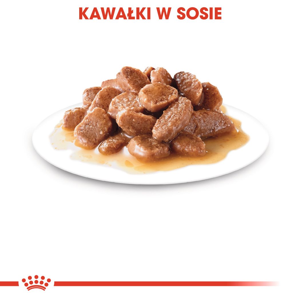 Royal Canin Ageing +12 w sosie-4