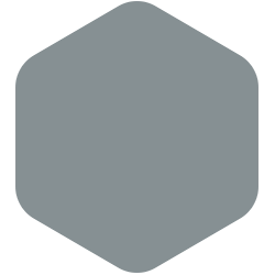bondex