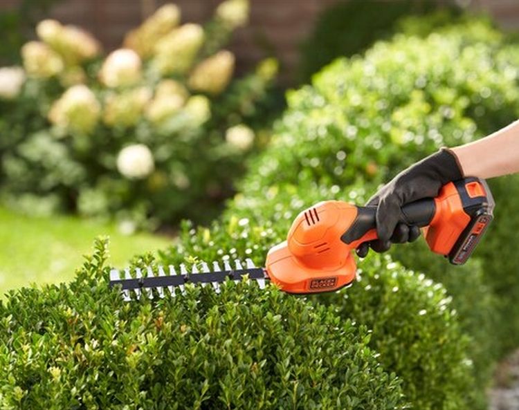blackdecker