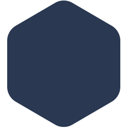 bondex