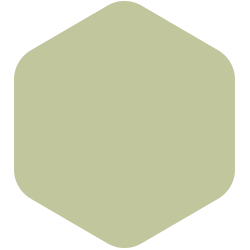 bondex