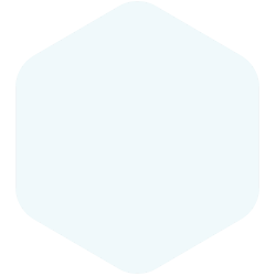 bondex