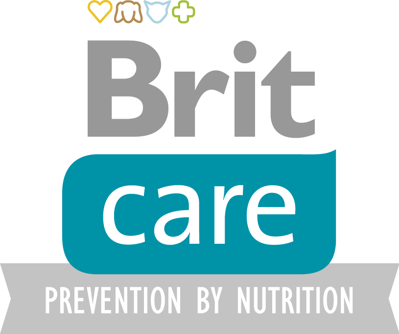 Brit care logo