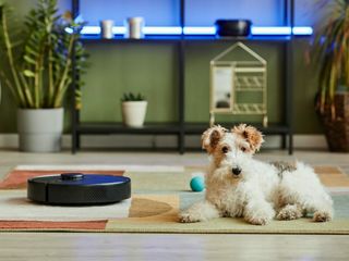 odkurzacz do sierści