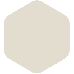 bondex