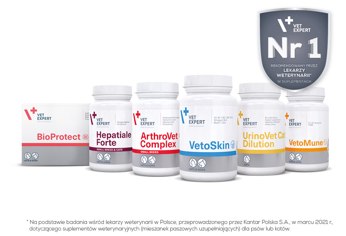 vetexpert