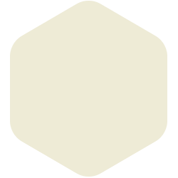 bondex