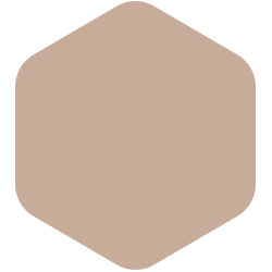 bondex