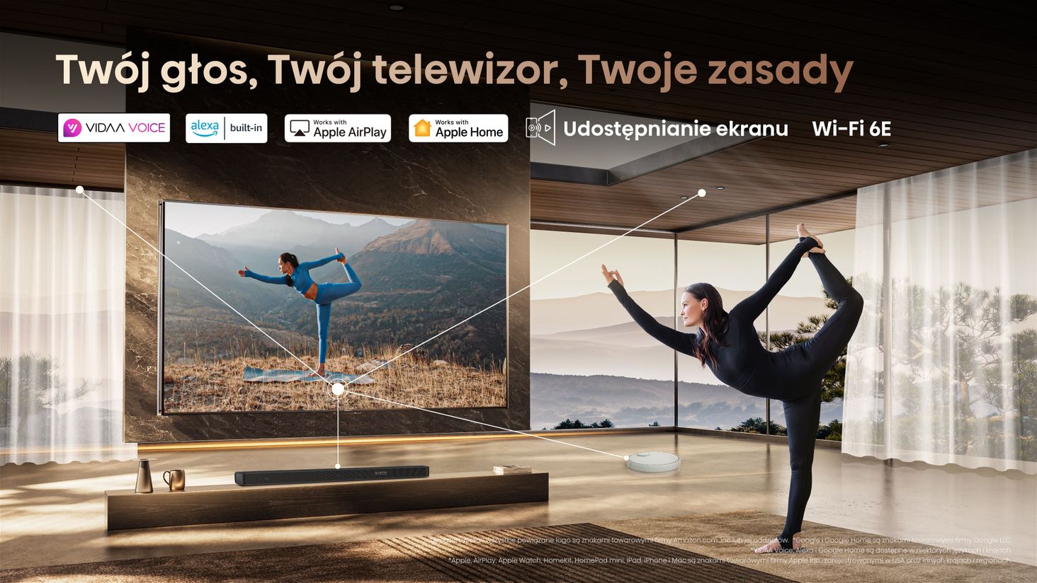 Hisense 12.Smart_Connectivity
