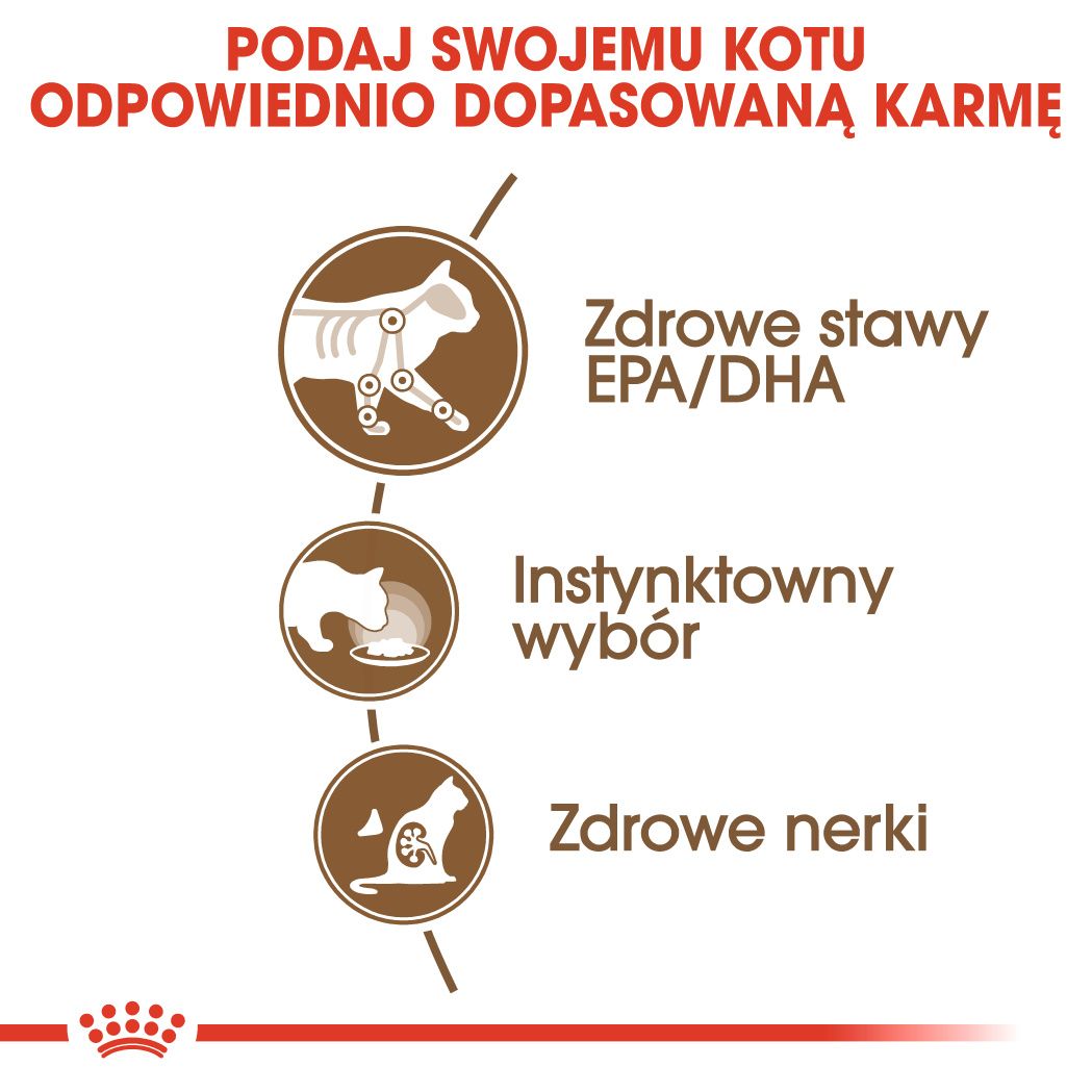 Royal Canin Ageing +12 w sosie-1