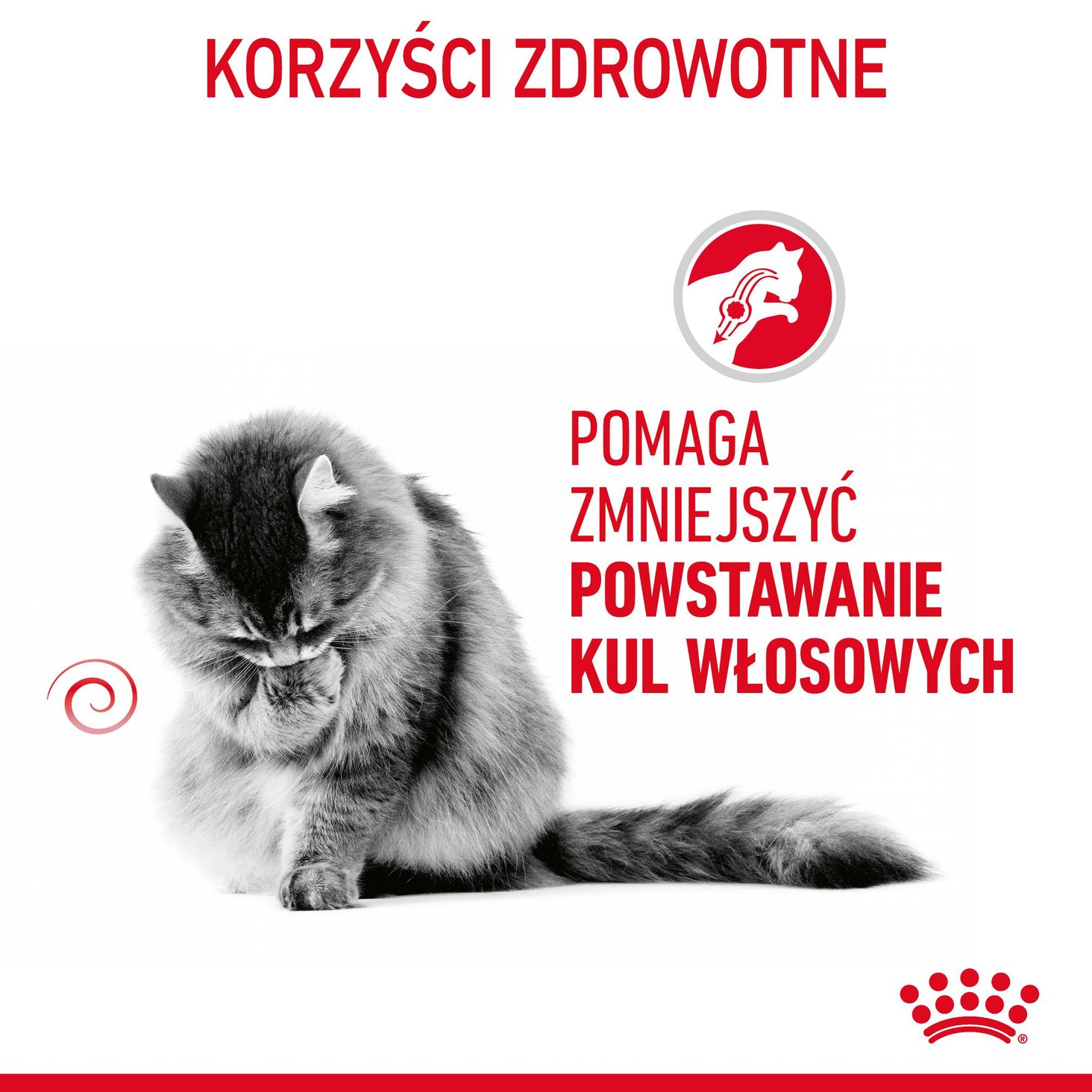 Royal Canin Hairball Care w sosie-1