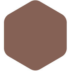 bondex