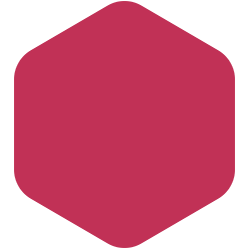 bondex