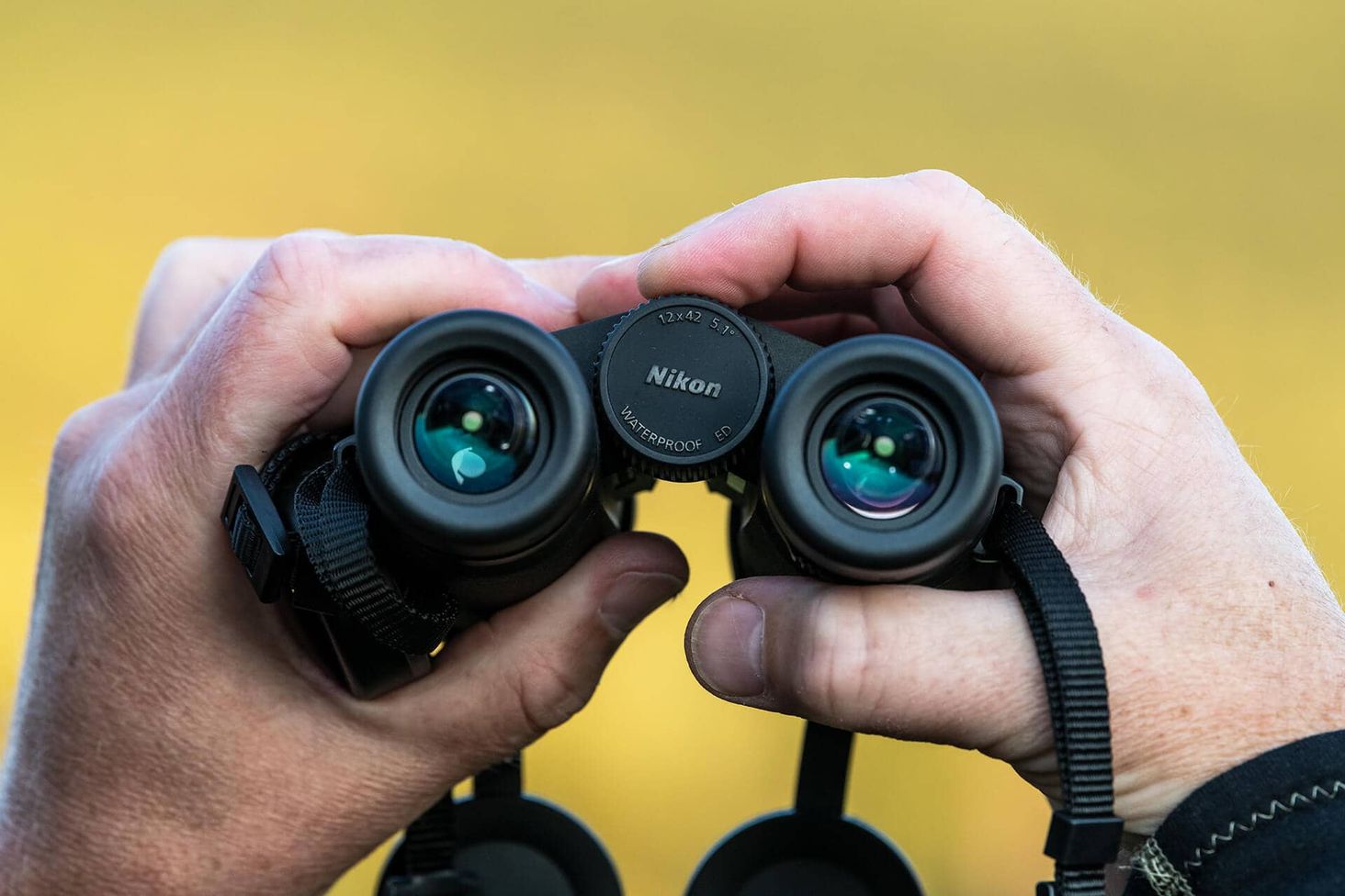 Nikon