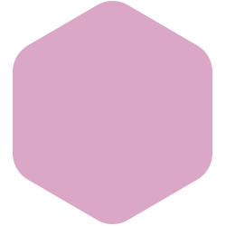 bondex