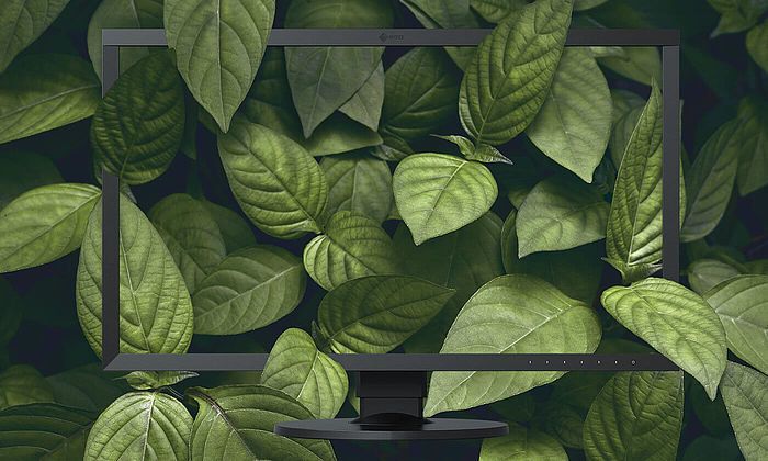 EIZO ekologiczny monitor