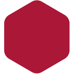 bondex