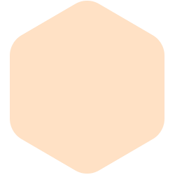 bondex