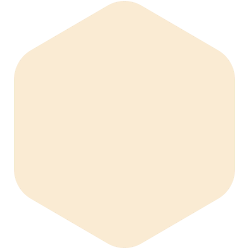bondex
