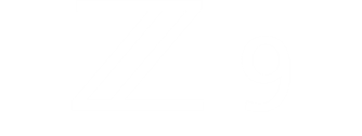 Nikon Z 9