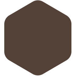 bondex