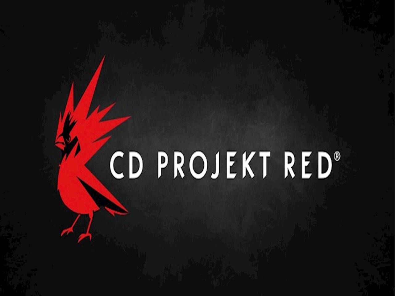 CD Projekt Red планы на будущее. CD Projekt Red офис. CD Projekt Red.