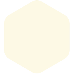 bondex