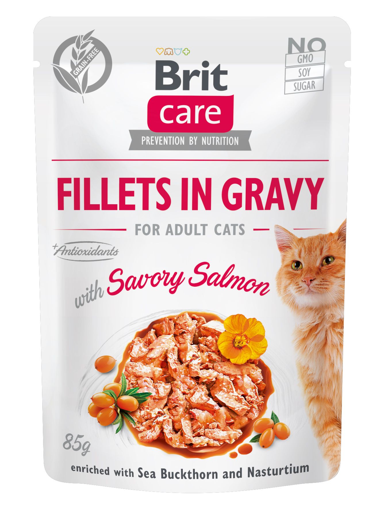 BRIT care cat 