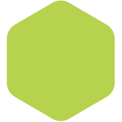 bondex