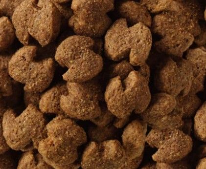 eukanuba labrador 12kg