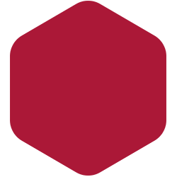 bondex