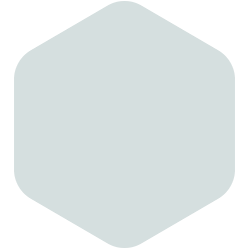 bondex