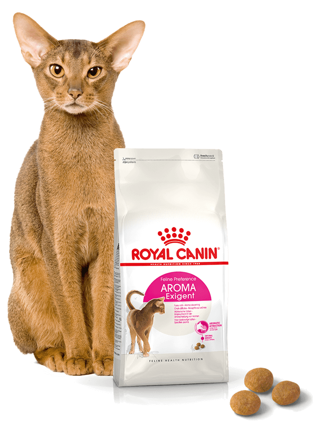 Royal canin sales exigent aromatic