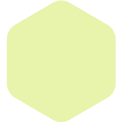 bondex